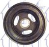 TRICLO 423281 Belt Pulley, crankshaft